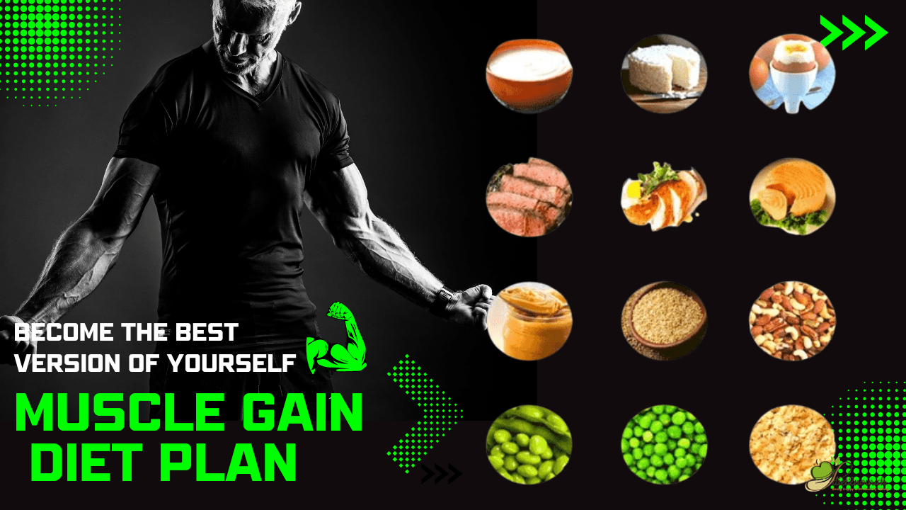 muscle gain diet plan