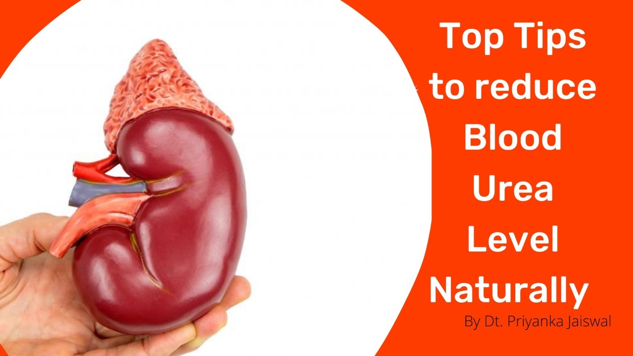 How to reduce blood urea by diet