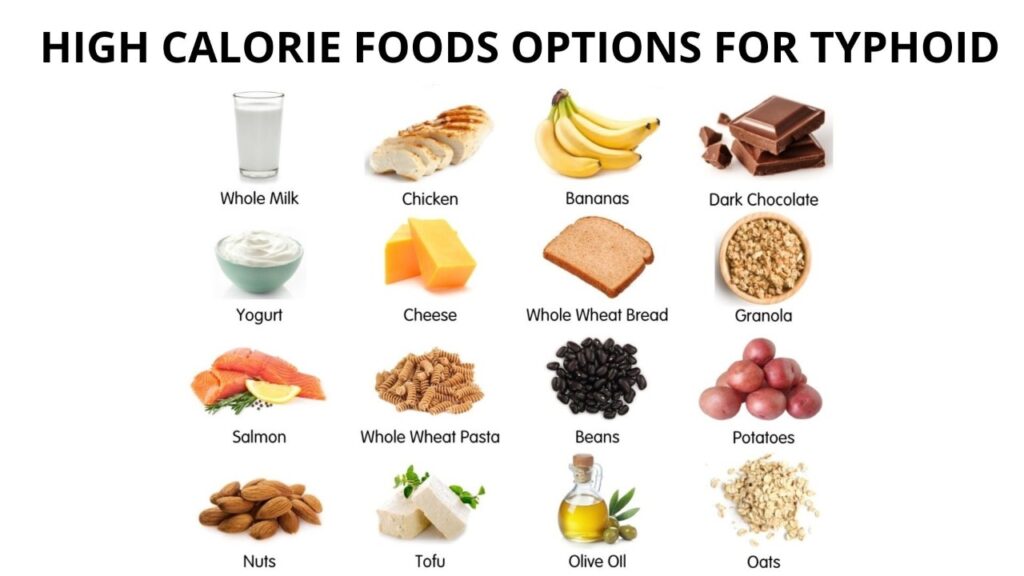 High Calorie Foods