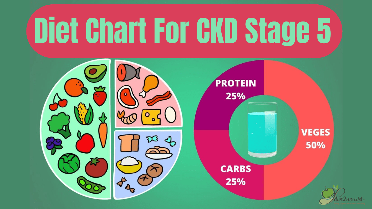 Diet Chart for CKD Stage 5 Patients