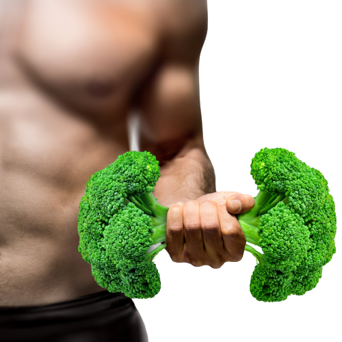What is the role of a nutritionist in bodybuilding