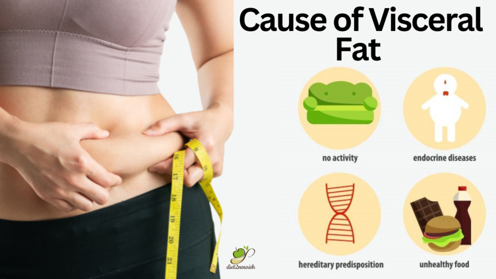 cause of visceral fat