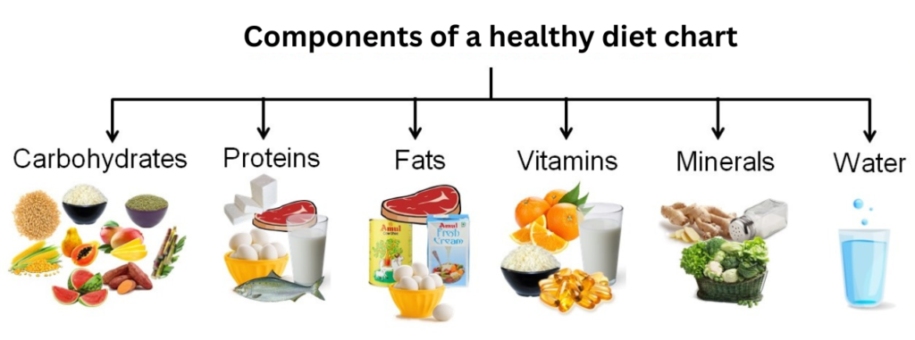 Components of a healthy diet chart