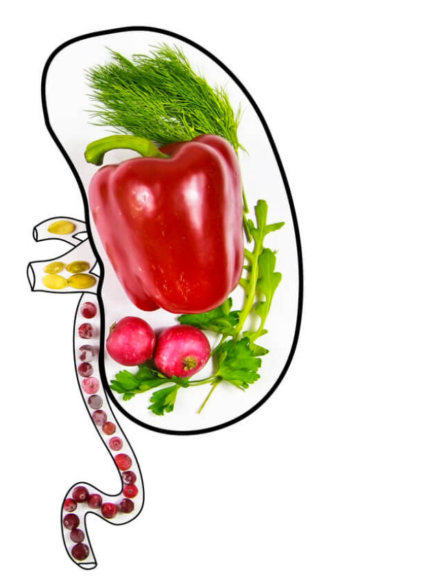 healthy-kidney-img