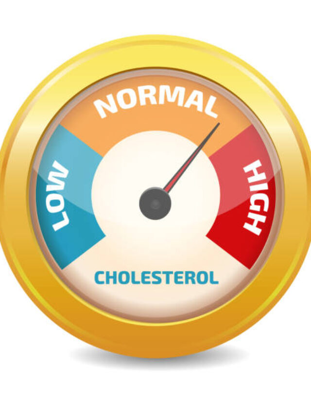 Cholesterol Meter vector