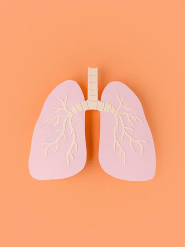 paper-made-lungs-isolated-orange_23-