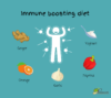 immune system booster diet