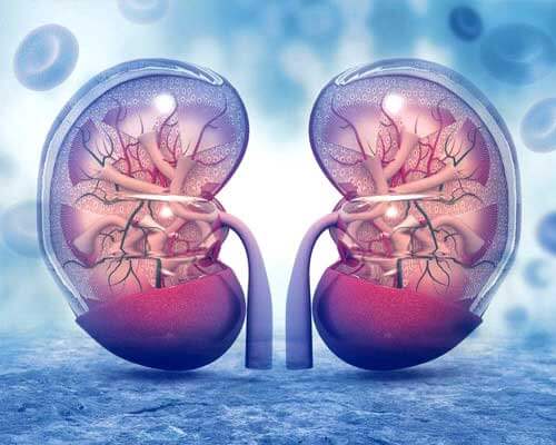 kidney-issues-dietician-in-delhi