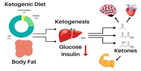 How keto diet can help in medical conditions