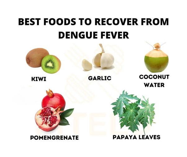 Food for dengue patient