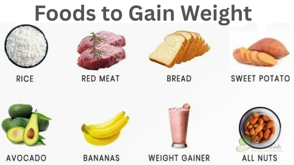 Weight gain food List