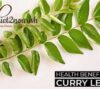 benefits-of-curry-leaves