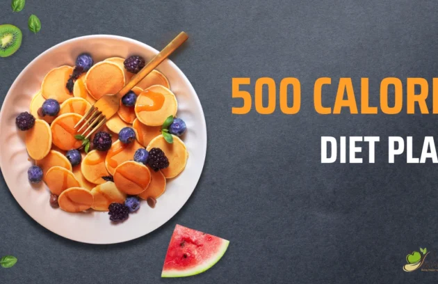 500 Calorie Diet Plan