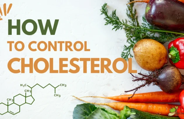 How to Control High Cholesterol