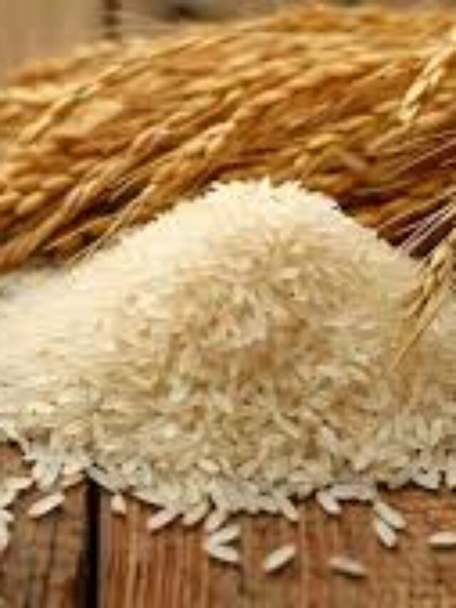 Top 7 Indian super grains to charge yourself
