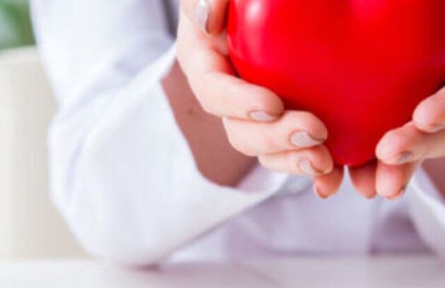 Doctor cardiologist with red heart in the hospital