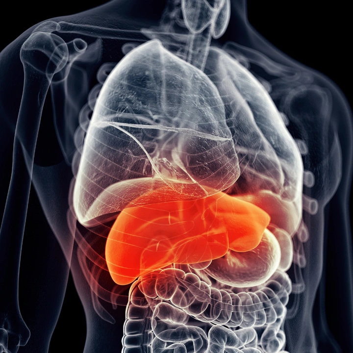 Those Seeking Liver Disease Prevention