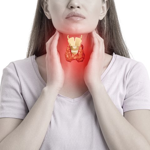 Those Seeking Overall Thyroid Wellness