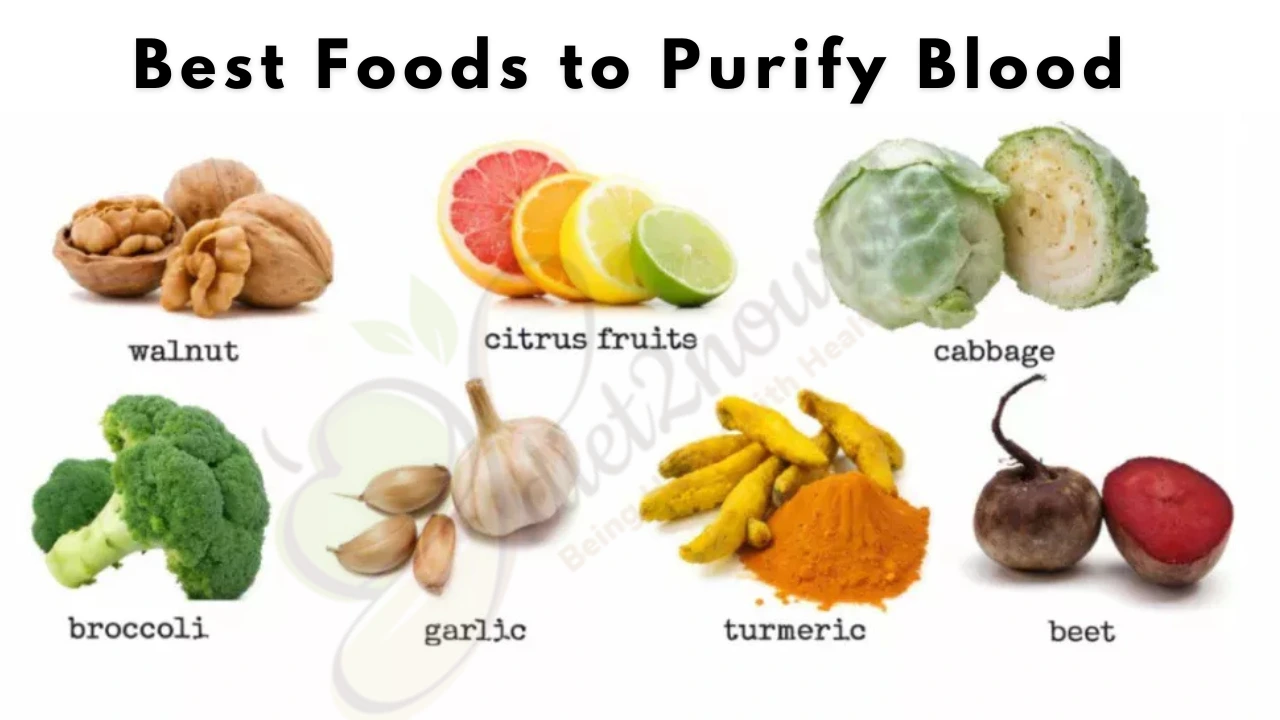 Best foods to purify blood
