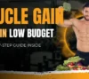 Low budget diet plan for muscle gain