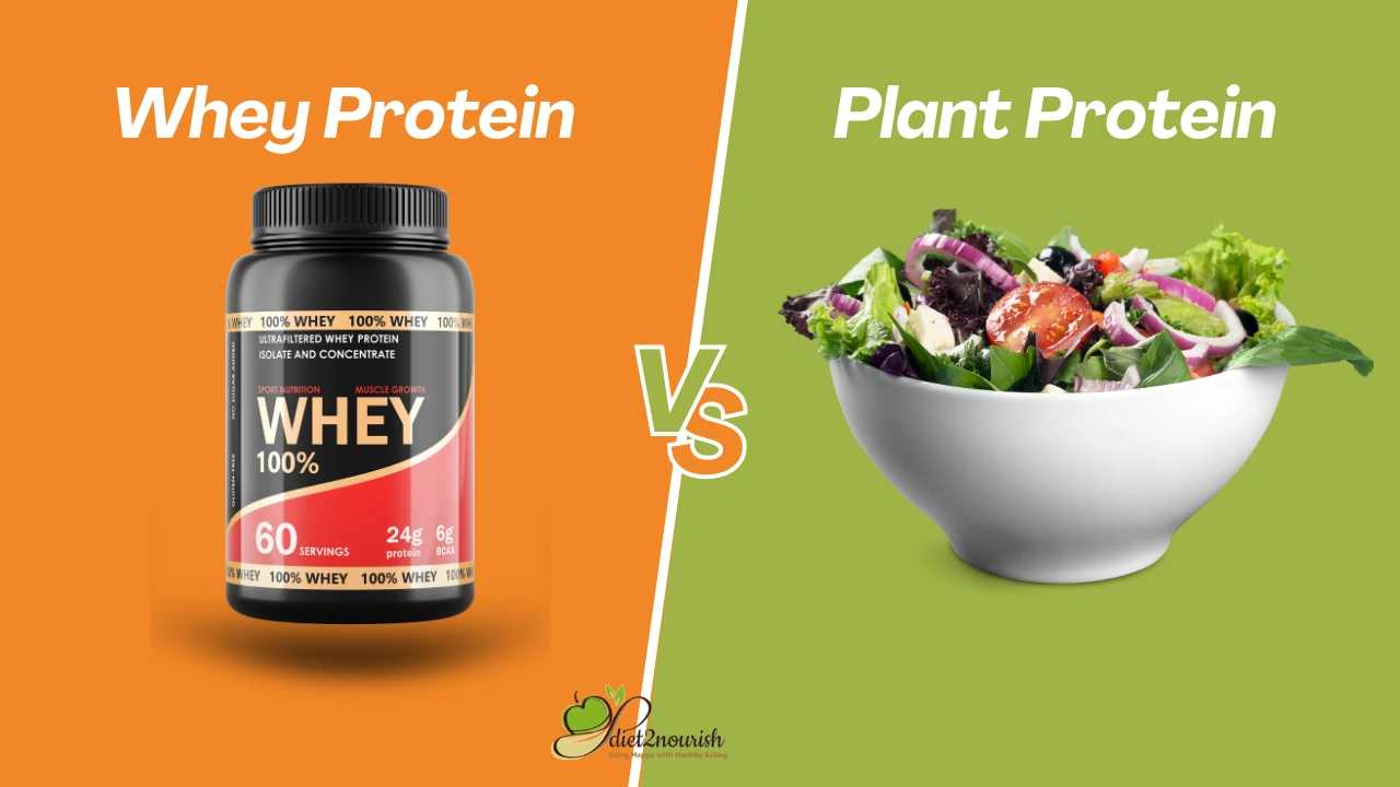 Whey Protein Vs Plant Protein 