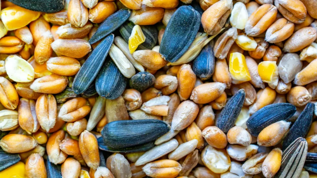 Does Millet Help in Weight Loss