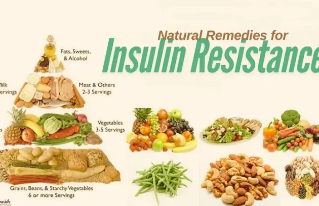 natural remedies for insulin resistance