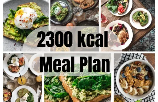 2300 kcal meal plan